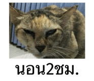 551495484