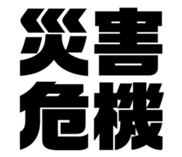551495586
