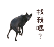551509268