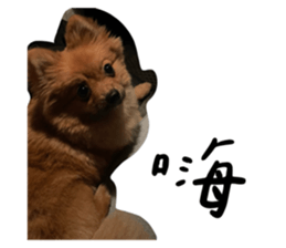 551509359