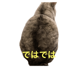 551515282