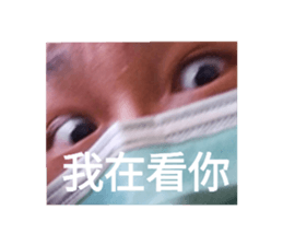 551537834
