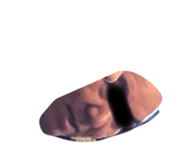 551546949