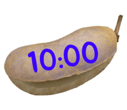 551566246