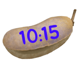 551566251