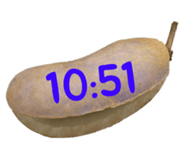 551566263