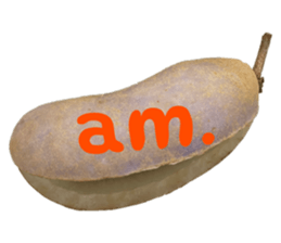 551566266