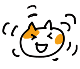 551589894