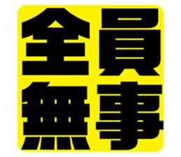 551591081