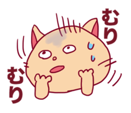 5516305