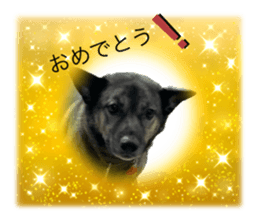 551672562