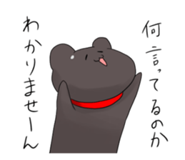 5517084