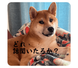 551723611