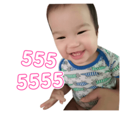 55181474
