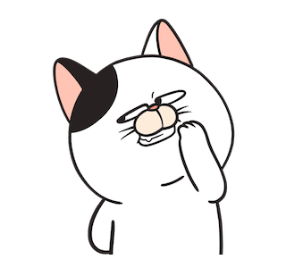 WeirdCat : Intro รูปที่ 1