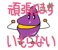 551854052