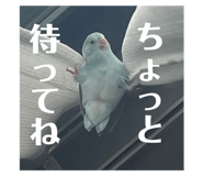 551857438