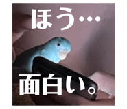 551857445