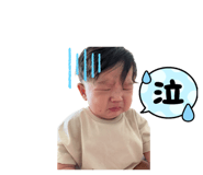 551866253