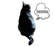 551882788