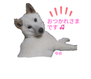551897002