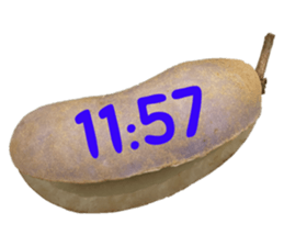551948305
