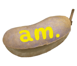 551948306