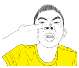 55201678