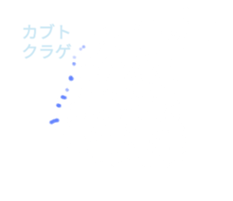 552019024