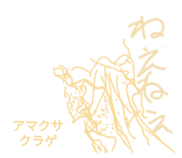 552019026