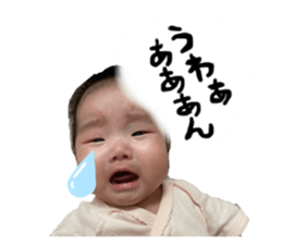 552019184