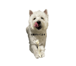 552019417