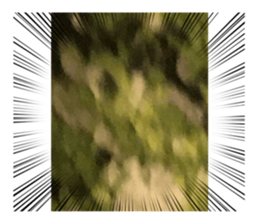 552048335