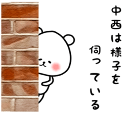 55211663