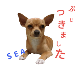 55212969