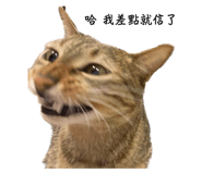 552137327