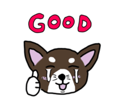 552138060