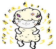 55214567