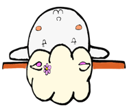 55214571