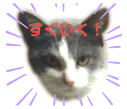 552182922
