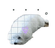 552187068