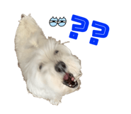 552187069