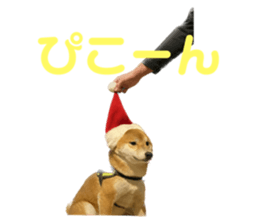 552212340