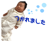 552223202
