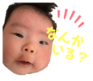 552223205