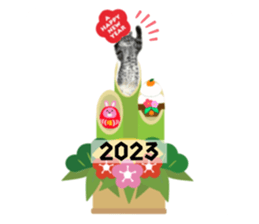 552224126