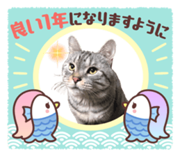 552224133