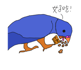 552226620