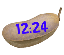 552230518