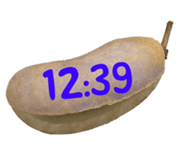 552230523